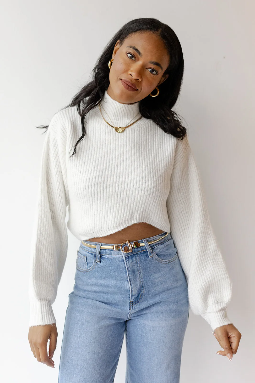 brianna turtle neck sweater